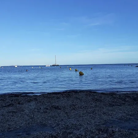Ambiance Provencale * La Seyne-sur-Mer